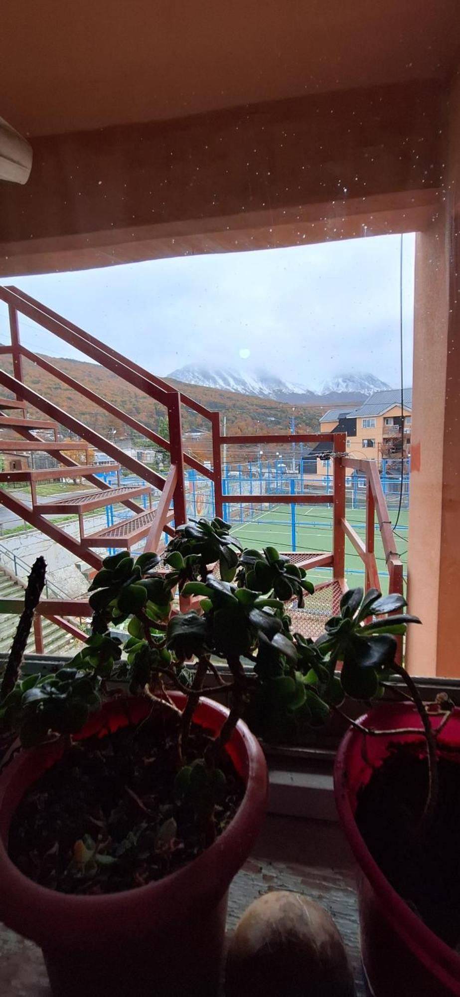 Condor Andino Ushuaia